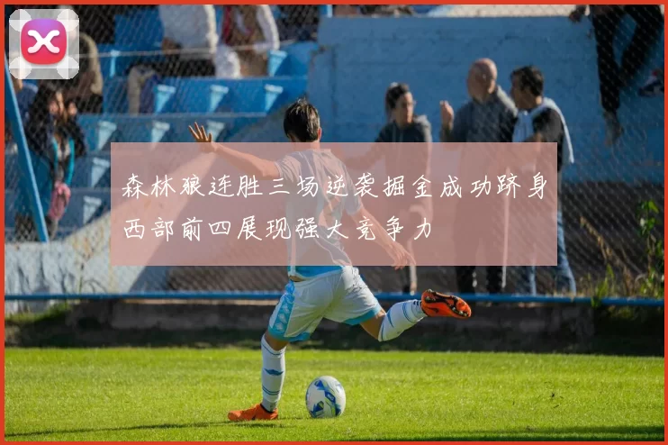 森林狼连胜三场逆袭掘金成功跻身西部前四展现强大竞争力